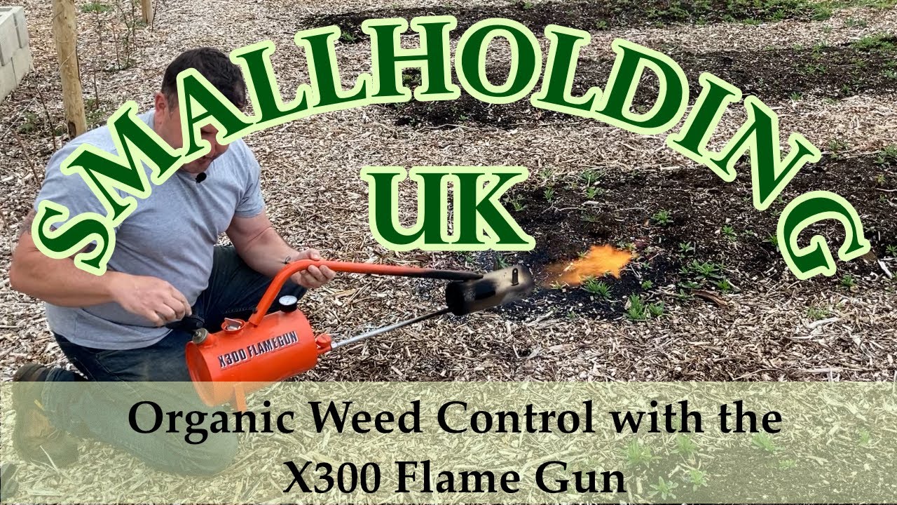 Organic Weed Control with the X300 Flame Gun