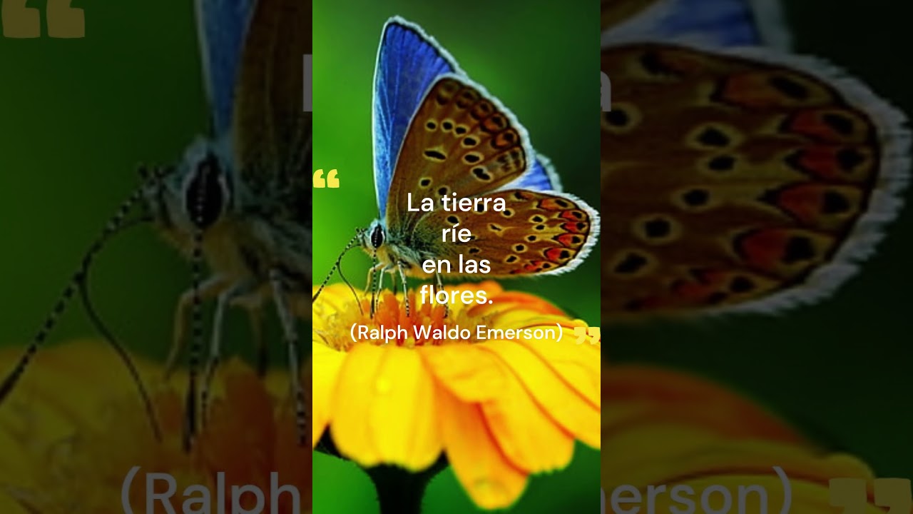 La tierra R&Iacute;E en las flores #frase #ralphwaldoemerson #animales #naturaleza #planeta #shorts
