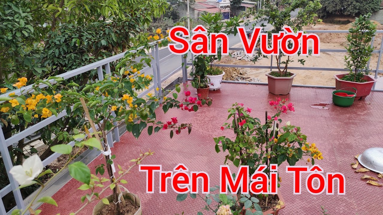 Thiết kế và thi công sân vườn trên nóc mái tôn _ phần 2 | Linh Ste Vlogs