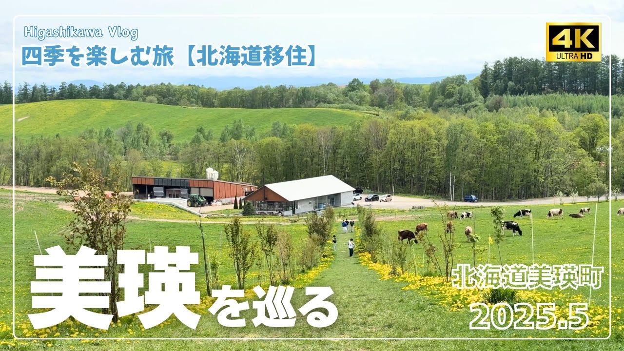 【北海道旅vlog #40】美瑛を巡る｜アンタラボ｜美瑛放牧酪農場｜拓真館（白樺回廊）｜イエティのいえ｜《４K》