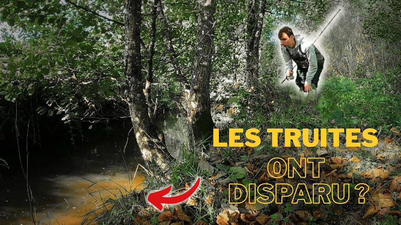 3 ans plus tard...les truites ont disparu ?