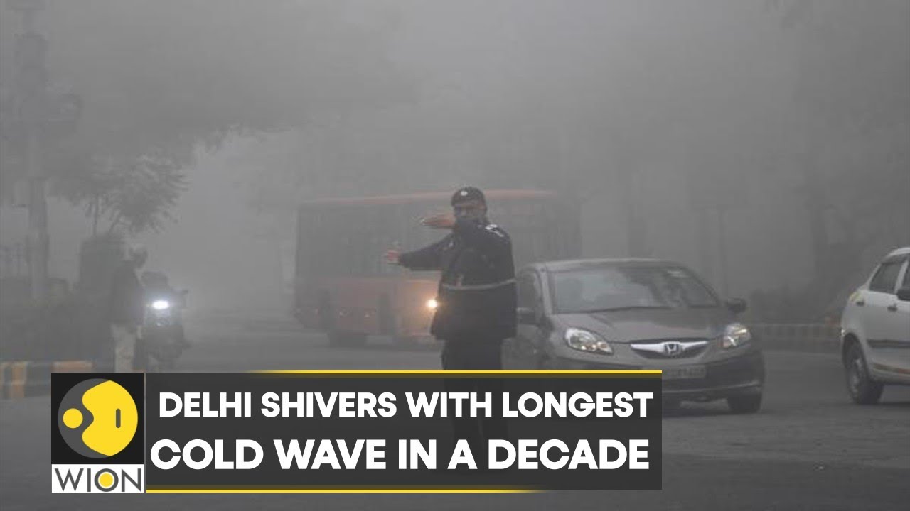 WION Climate Tracker: Delhi shivers with longest cold wave in a decade | World News | English News