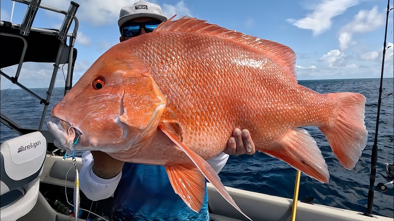 Jigging GIANT Red Emperor