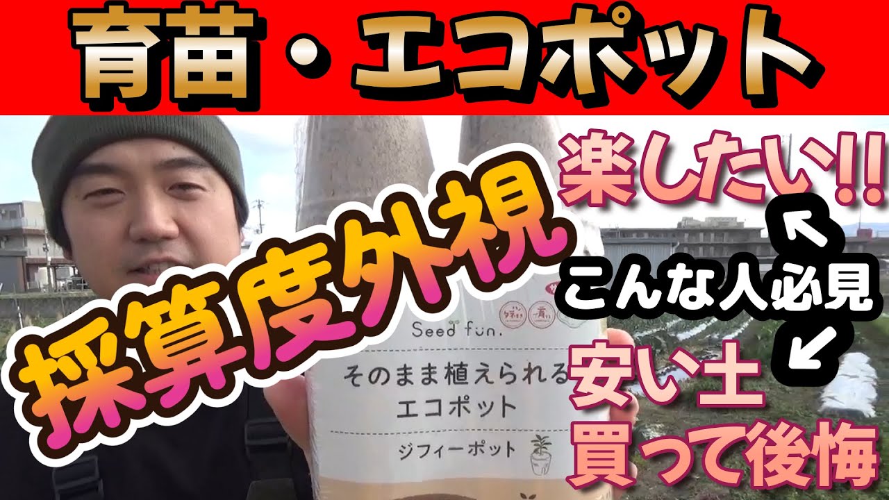 【エコポット】育苗から植付けまでが超楽に!!後半では植えた野菜のエコポット部分の分解状況を見ていきます!!【家庭菜園】【育苗】【キャベツ】【ポット苗】【SDGs】