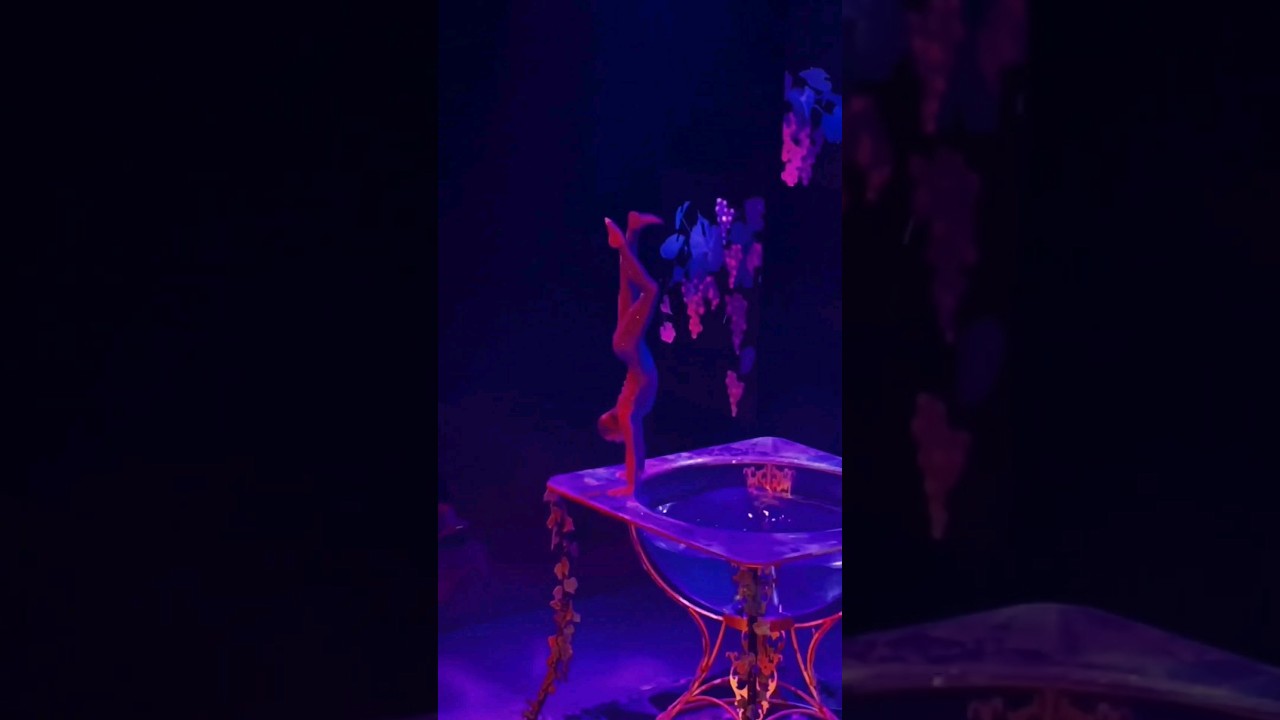 #handstand #waterbowl #circus #circusartist