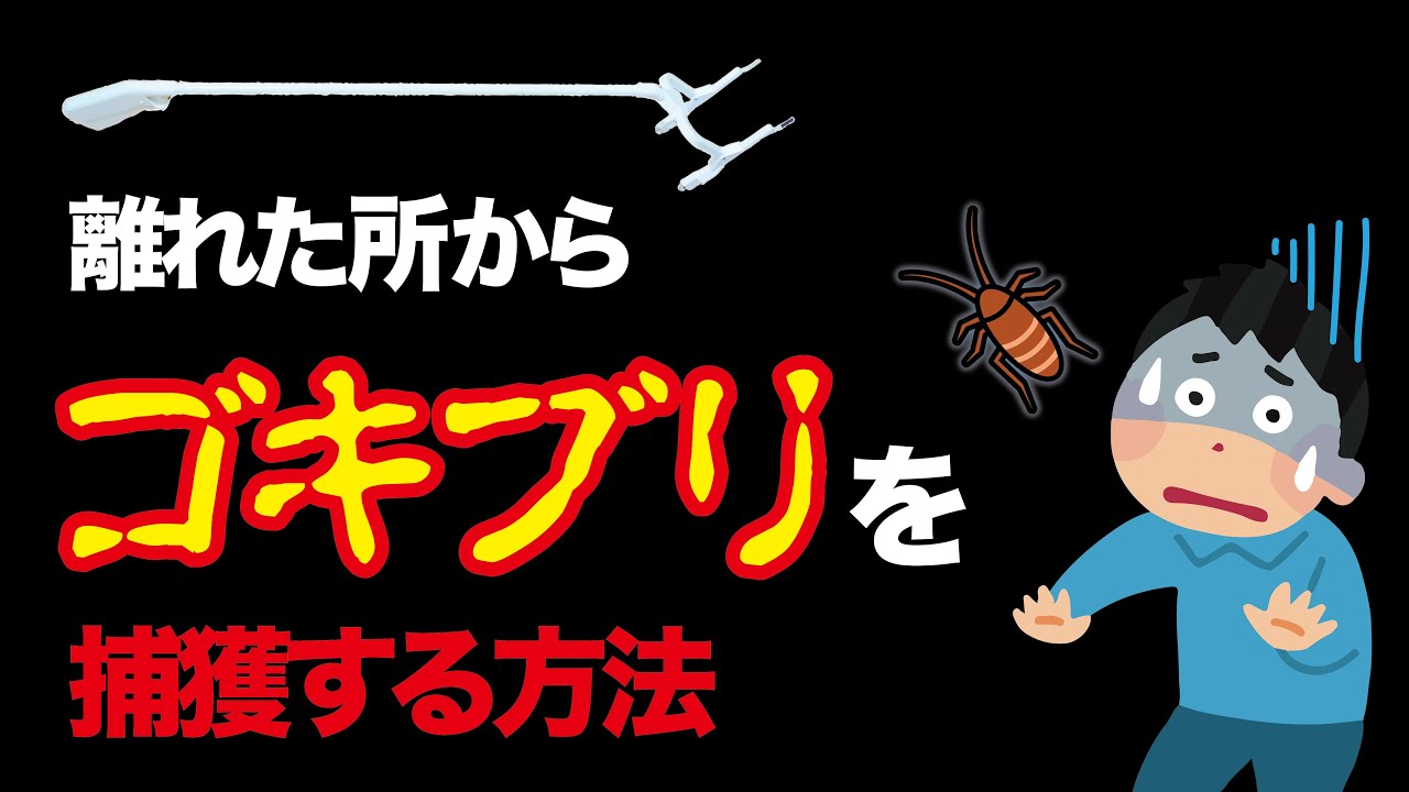 ゴキブリ捕獲　ぱっくりん＋殺虫剤使用ver.