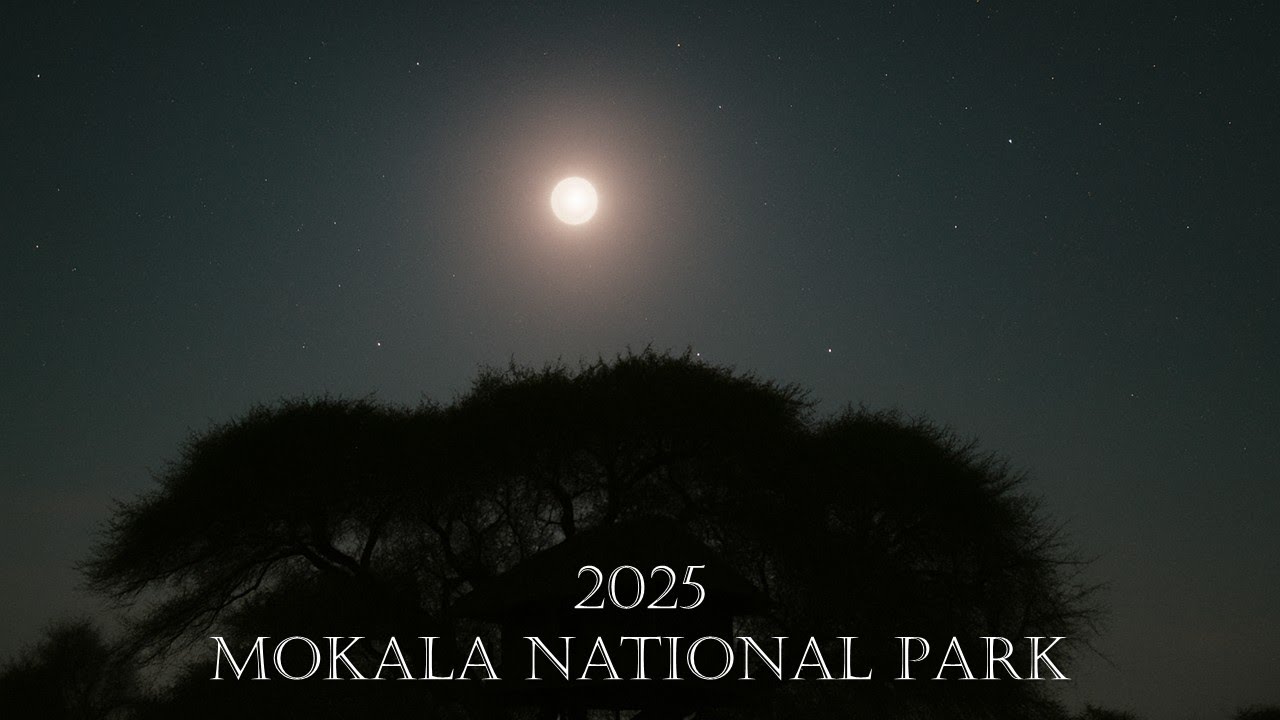 First visit to Mokala National Park