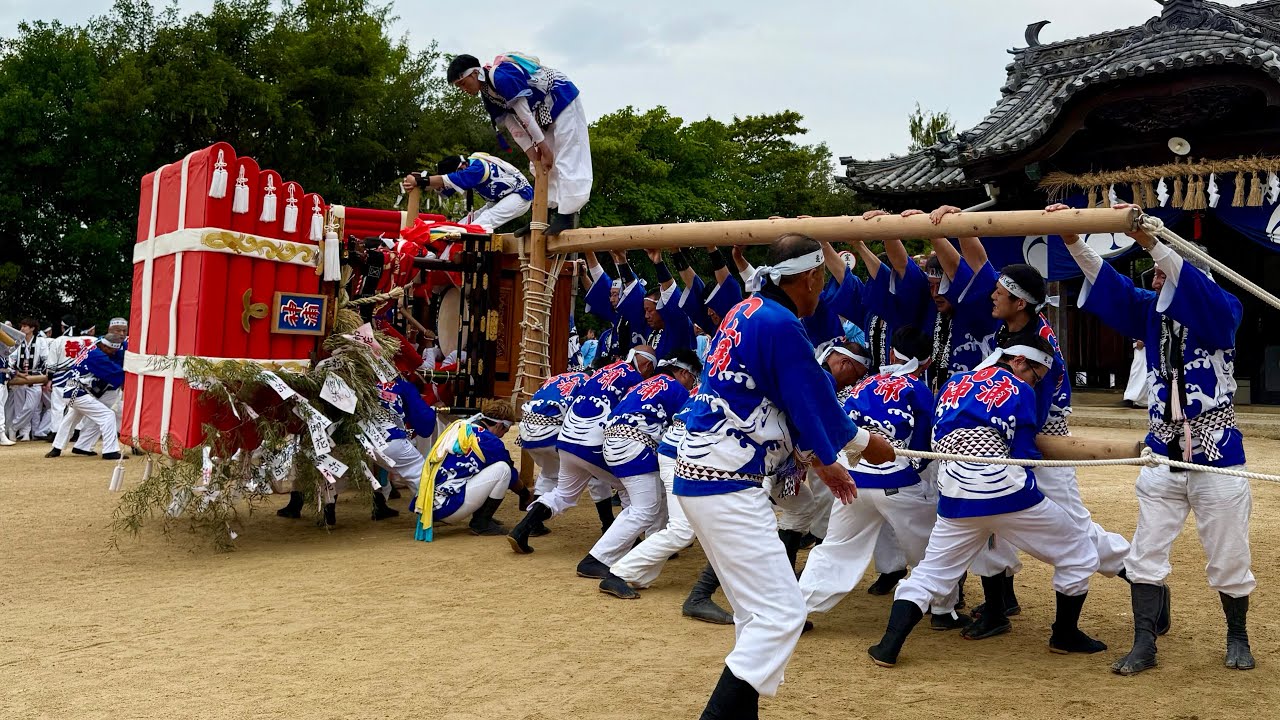 R7.10.16 小豆島 池田 亀山八幡宮秋祭り 御神輿発御〜太鼓台宮出 妙技 かえし 2025/10/16(木)