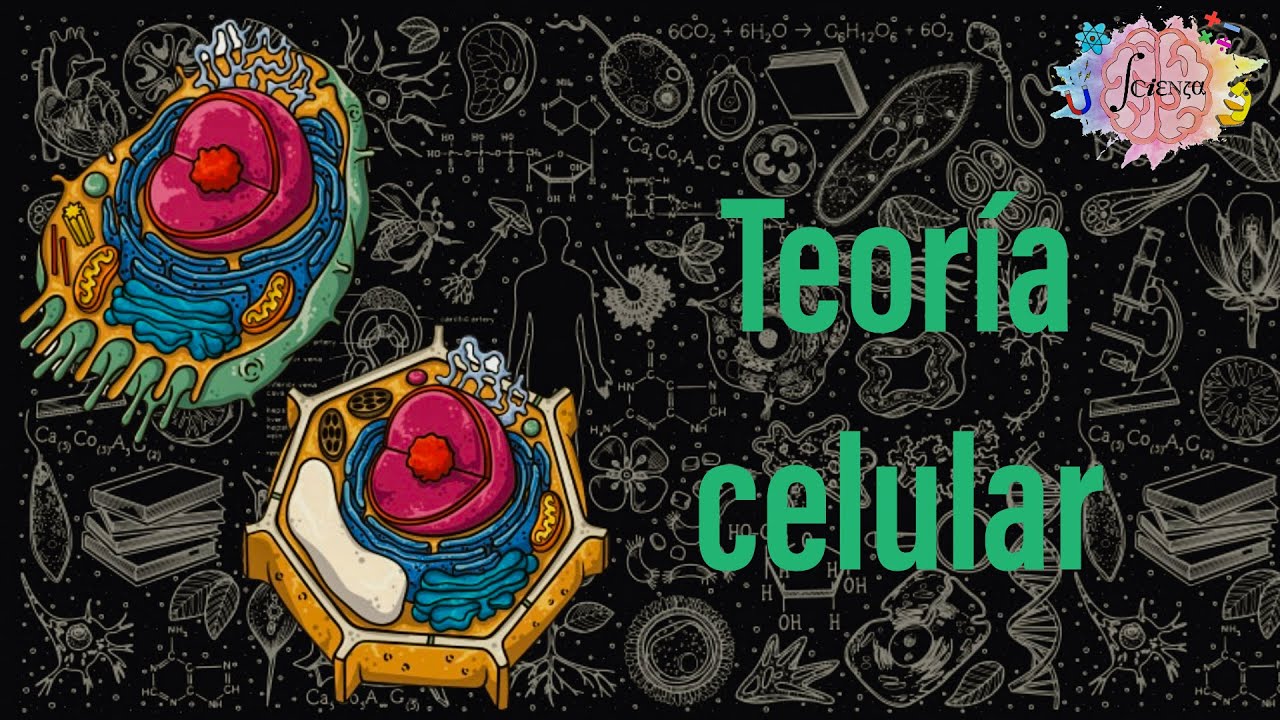 Teor&iacute;a celular y sus postulados