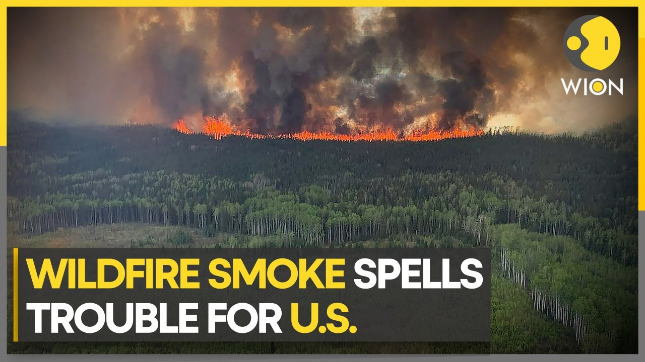 Canada wildfires lead to air-quality alerts in US | WION Climate Tracker