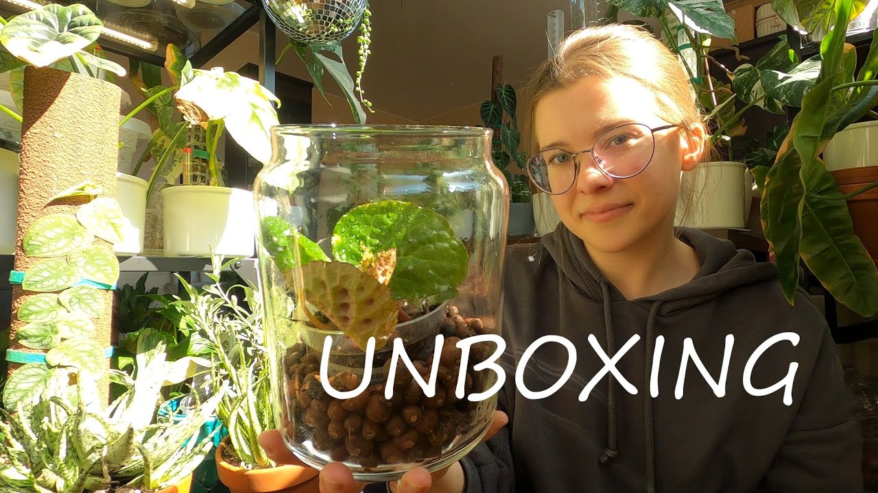 Unboxing - Centrum Ogrodnicze Silesia | nowe rośliny