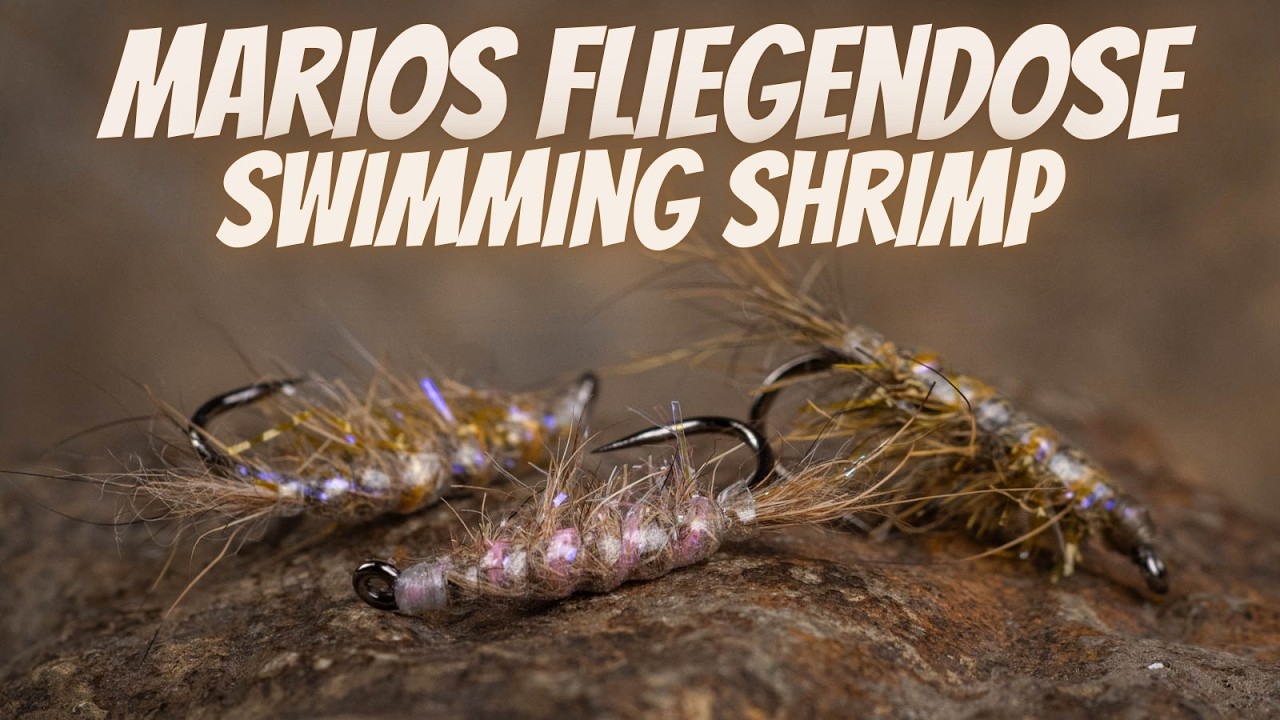Marios Fliegendose - Swimming Shrimp / Bachflohkrebs