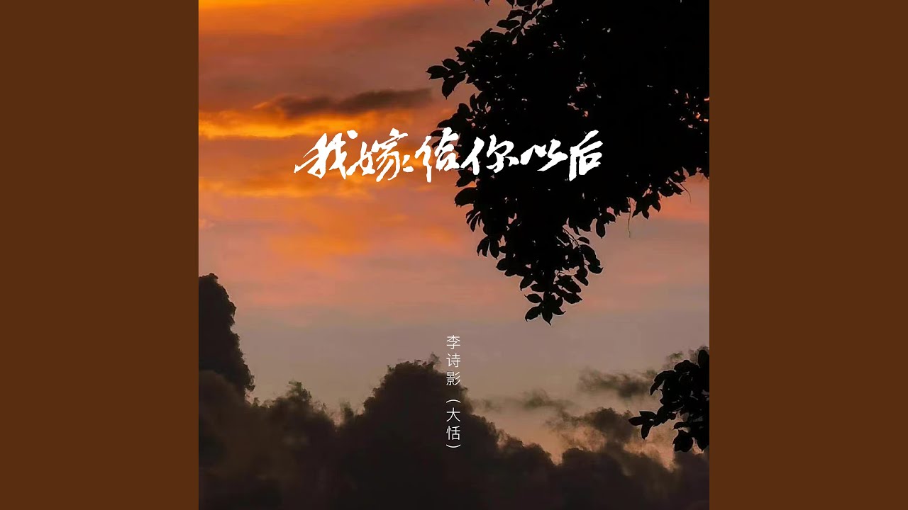 我嫁给你以后