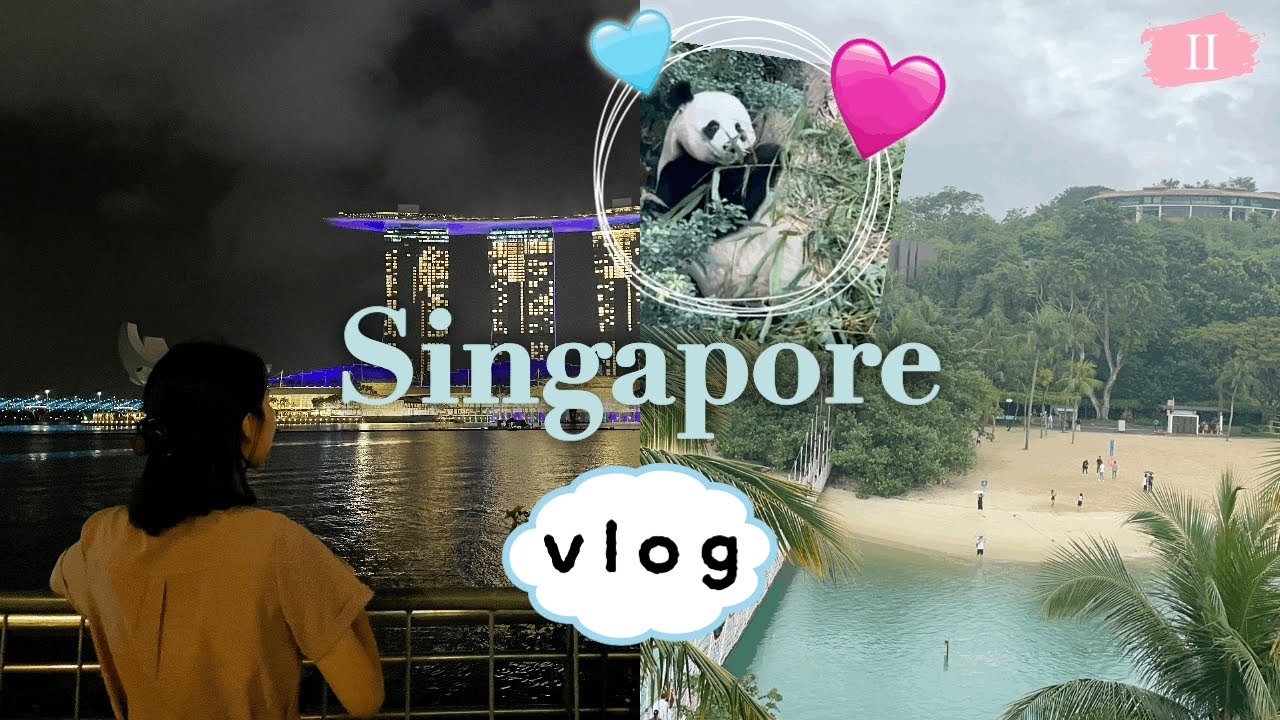 🇸🇬 Singapore vlog | 3박 5일 싱가포르 여행 ☔️ 갈 곳은 다 가봤다...! | 동물원 🐼, 나이트 사파리, 센토사 섬 (2 of 2)