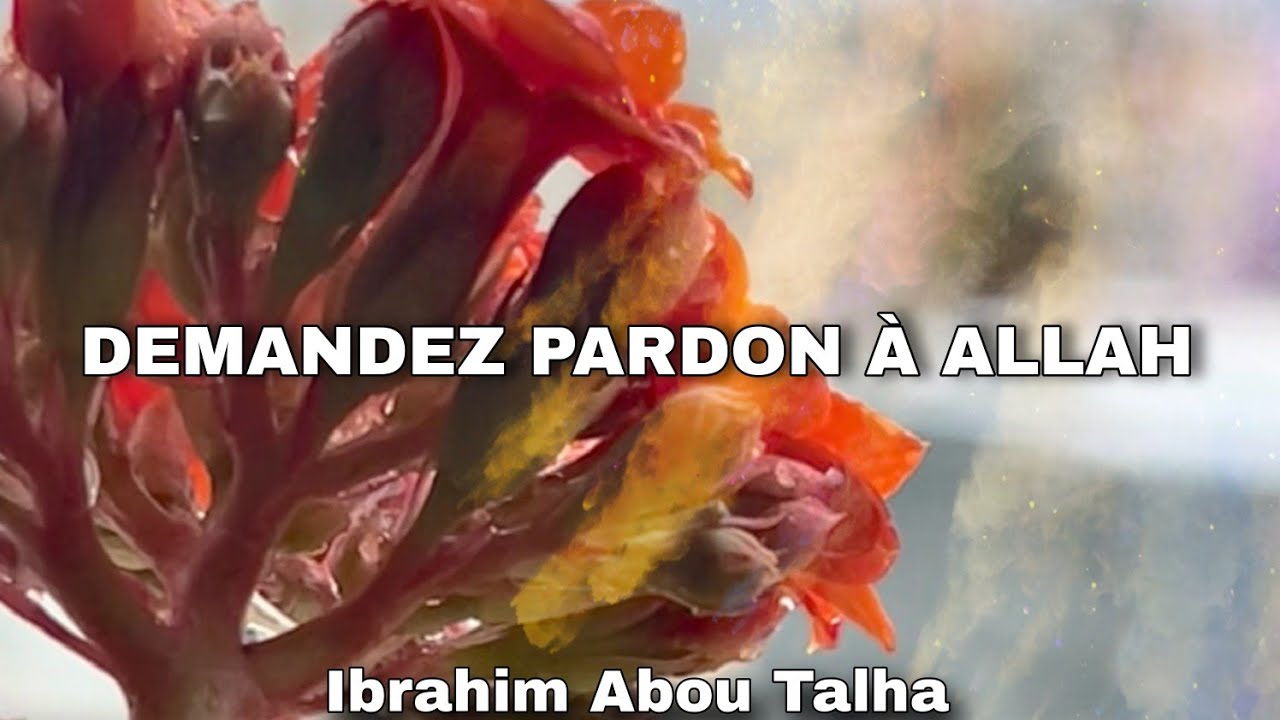Demandez pardon à Allah | Ibrahim Abou Talha #khotba #prêche