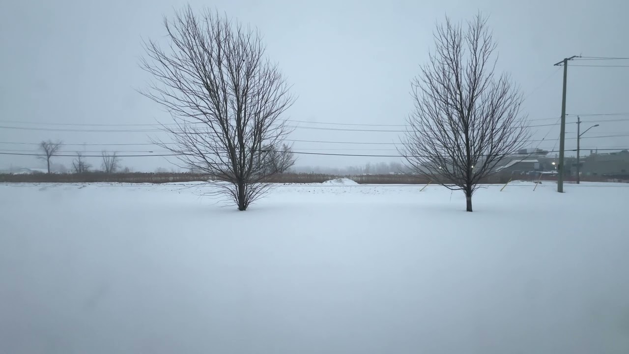 Office View | Winter Snow