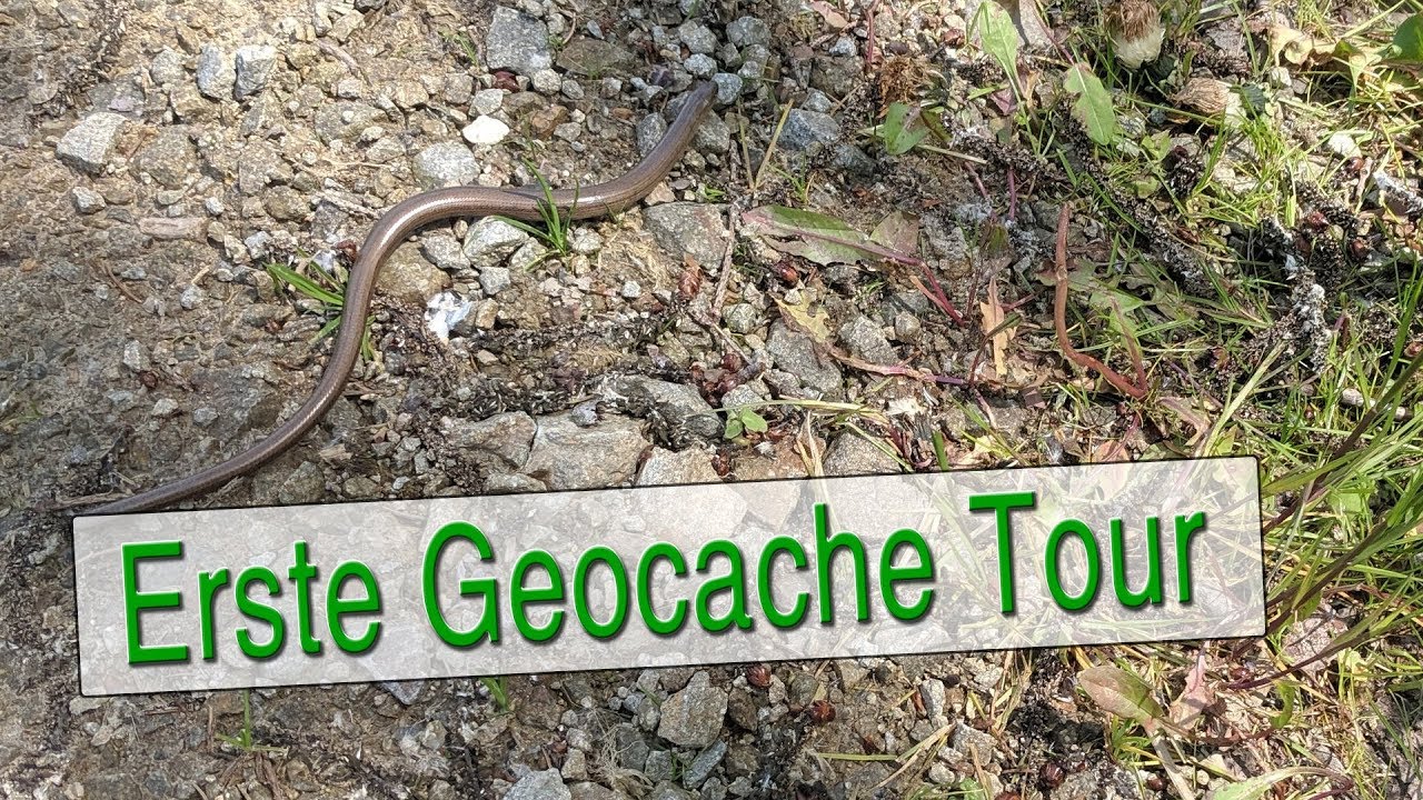 Geocaching Anfänger: Die erste Tour & die ersten Caches [Deutsch / German]