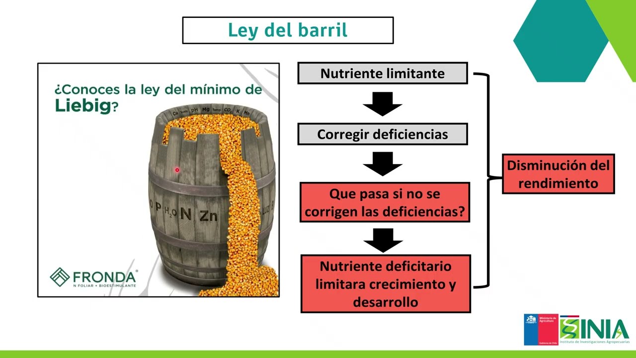 Importancia de la fertilidad delsuelo en sistemas agroecológicos_M3_U2_1B