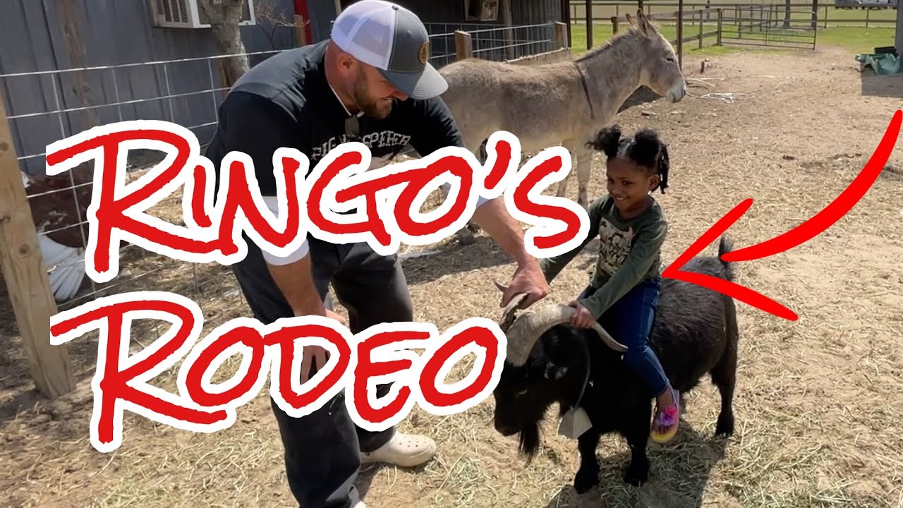 Ringo’s Rodeo