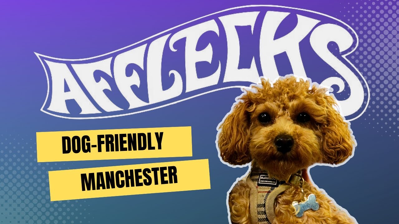 Exploring Dog-Friendly Afflecks in Manchester: Fun for Furry Friends! 🐶