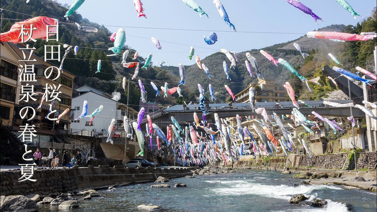【旅Vlog】大分・熊本の旅　日田の桜と杖立温泉の春と夏　杖立温泉鯉のぼり祭り