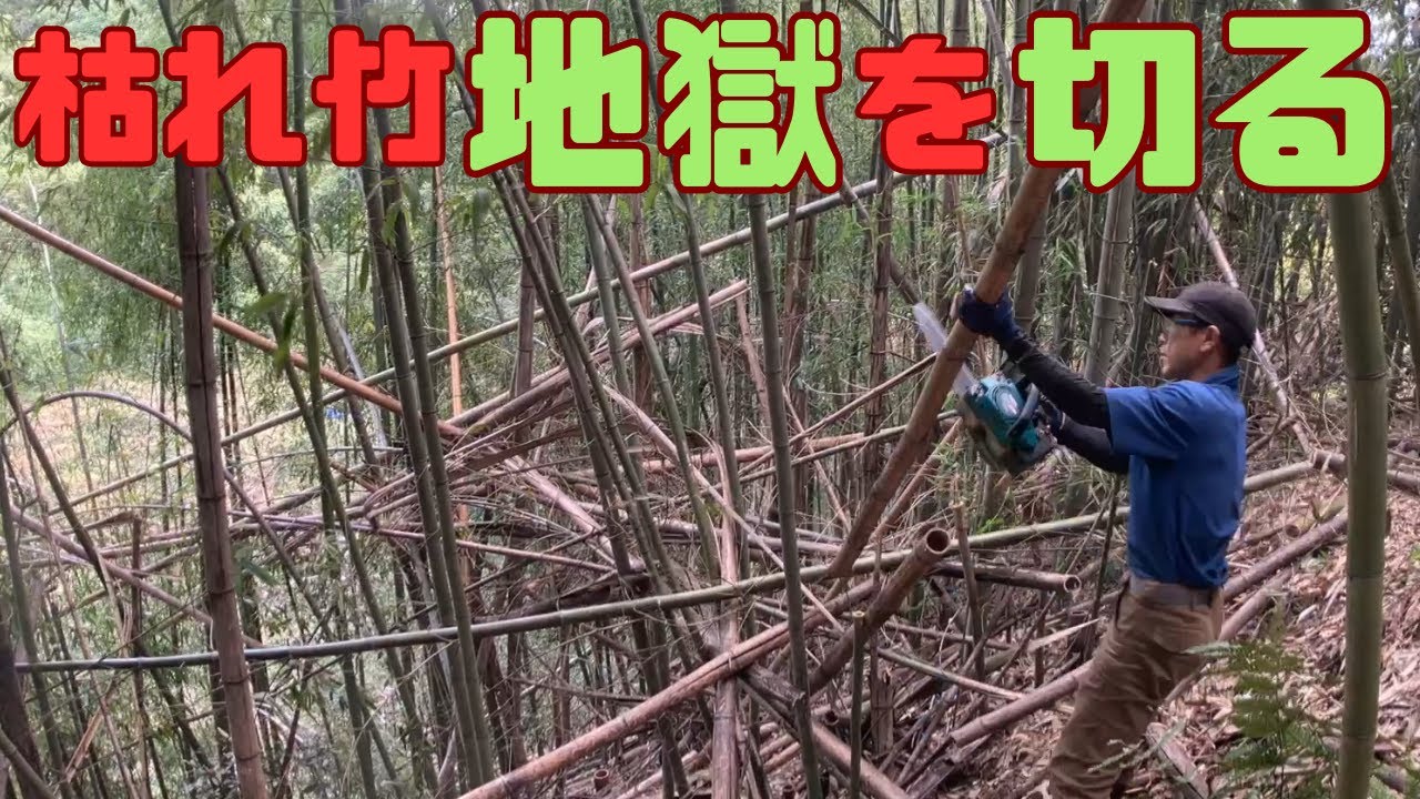 【竹林整備】斜面の竹を切って投げ落とす【爽快】