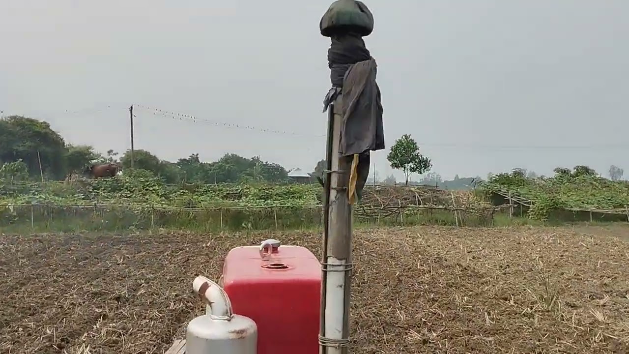 ২৪ফালের পাওয়ার টিলার আলের রাজা