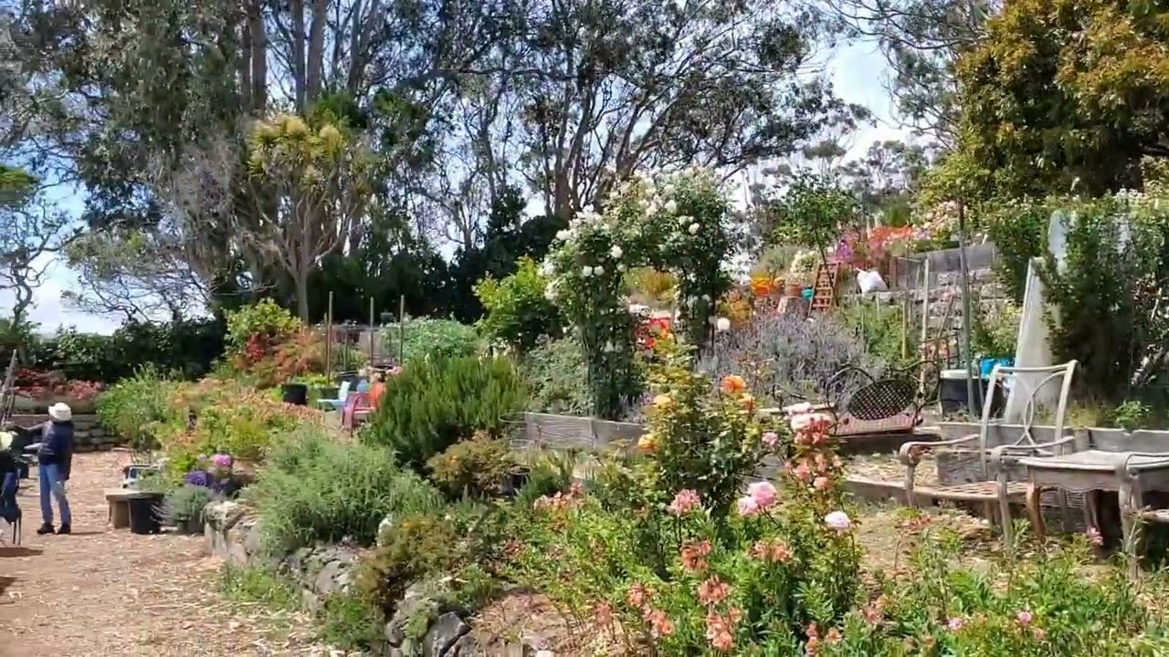 Fort Mason Landscape