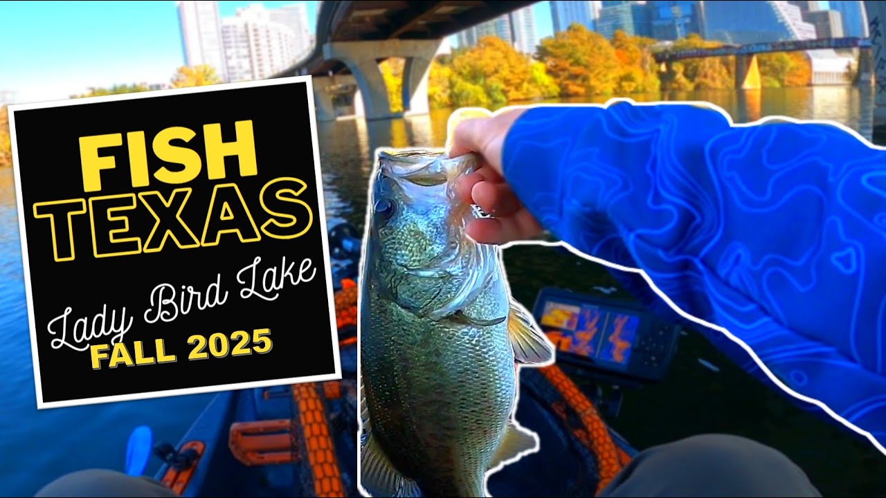 Привередливая осенняя рыбалка на озере Леди Берд, Остин, Техас, FISH TEXAS