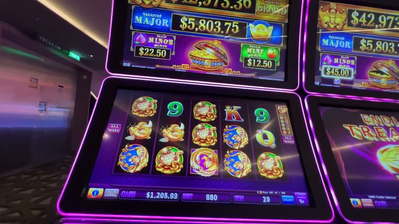 MSC# Meraviglia #casino #slots#gambling #endlesstreasure#