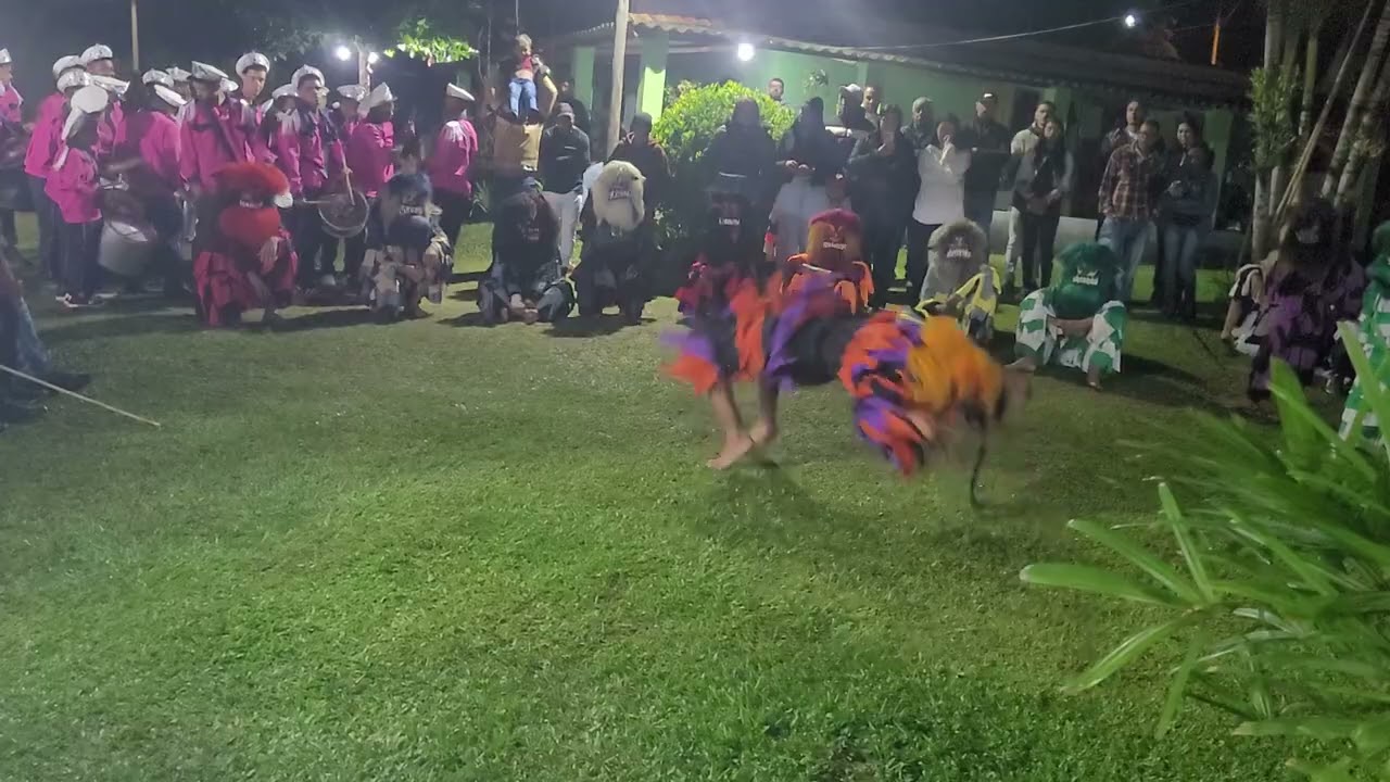 🔴 Chula dos palhaços da Jornada Guia do Oriente-Saudade 20/01/2026