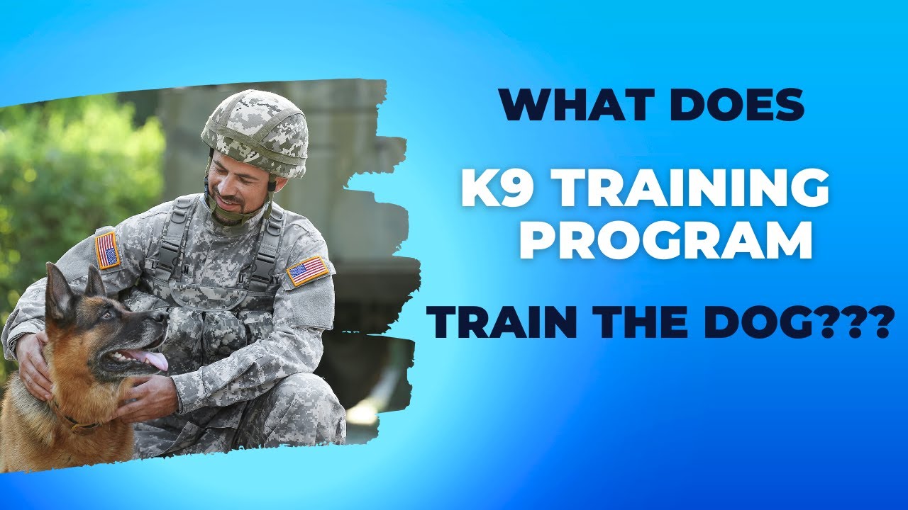 What does K9 training program train the&nbsp;dog??? #pettalk #k9 #dogtraining