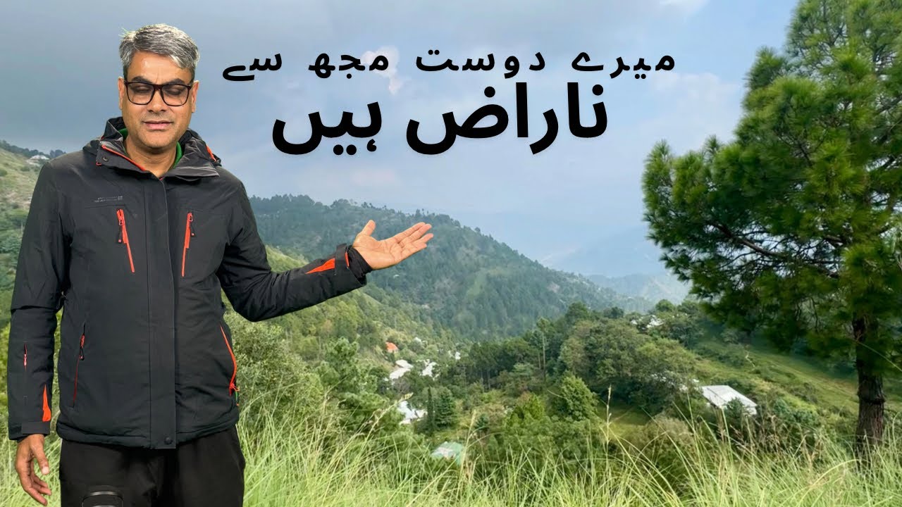    مفاد پرستی یا مقصد سے دوستی
