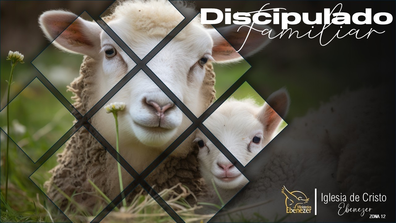 El Huerto De La Perfección - Pastor Juan Luis Elías - Discipulado Familiar - Lunes 02/03/2026
