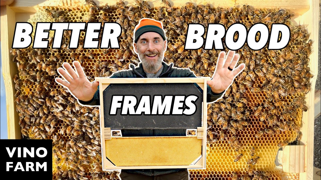 Queen Size Brood Frames! (Bee Barn Build - Part Four)