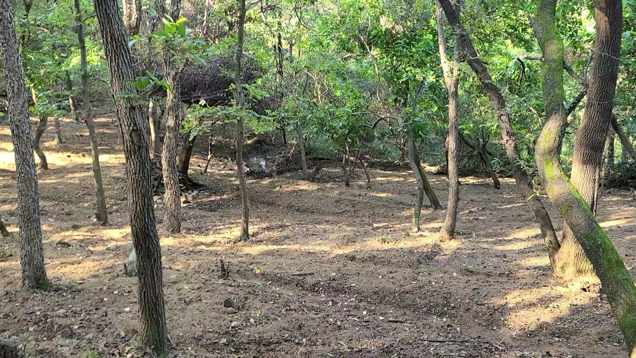 [ 산양삼 씨뿌리기 ] ❤ 농장의 하루