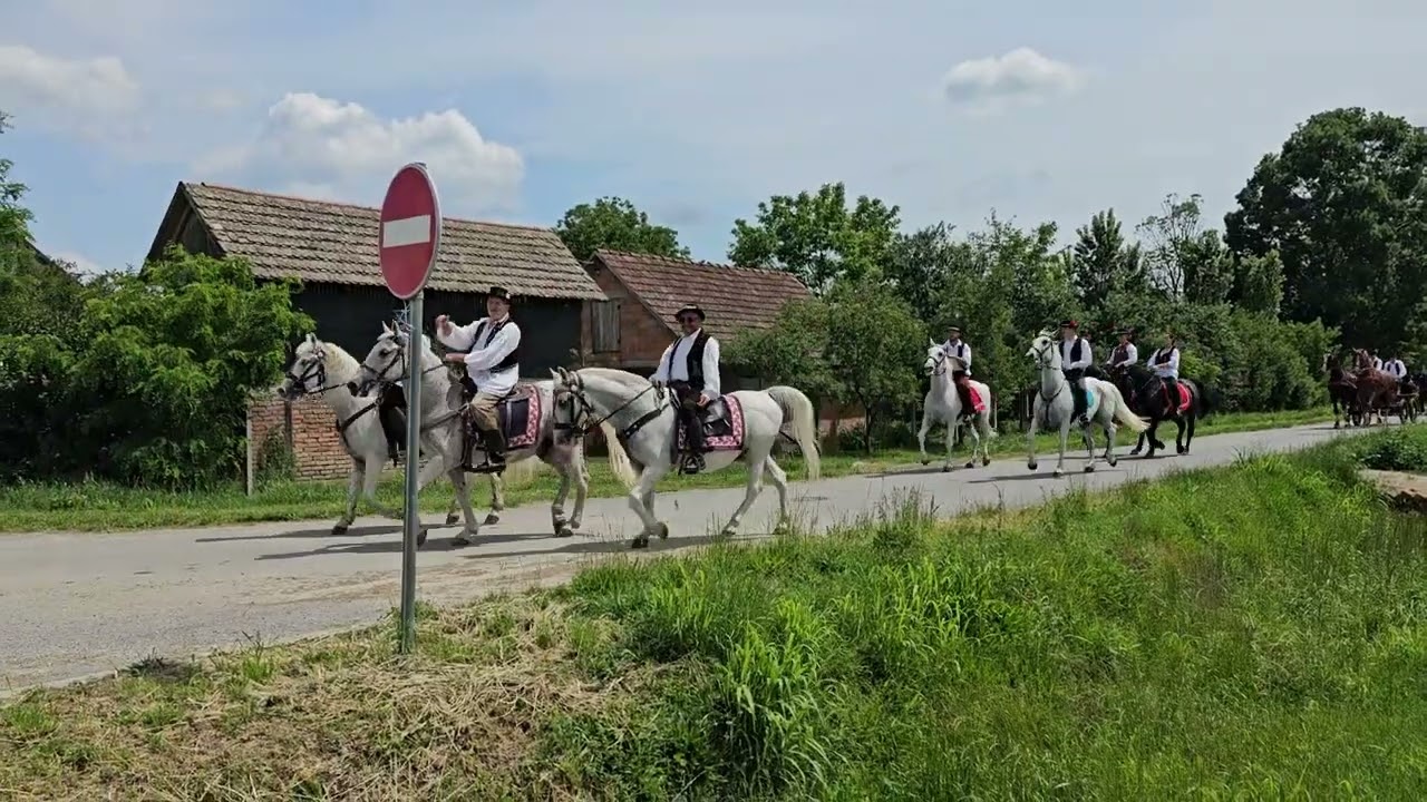 Ulicama Našeg Sela,Jagodnjak🐴