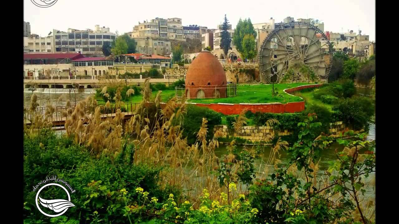 جفن العين - ابو صهيب الحموي (حصري للسيتيويشن الحموي)