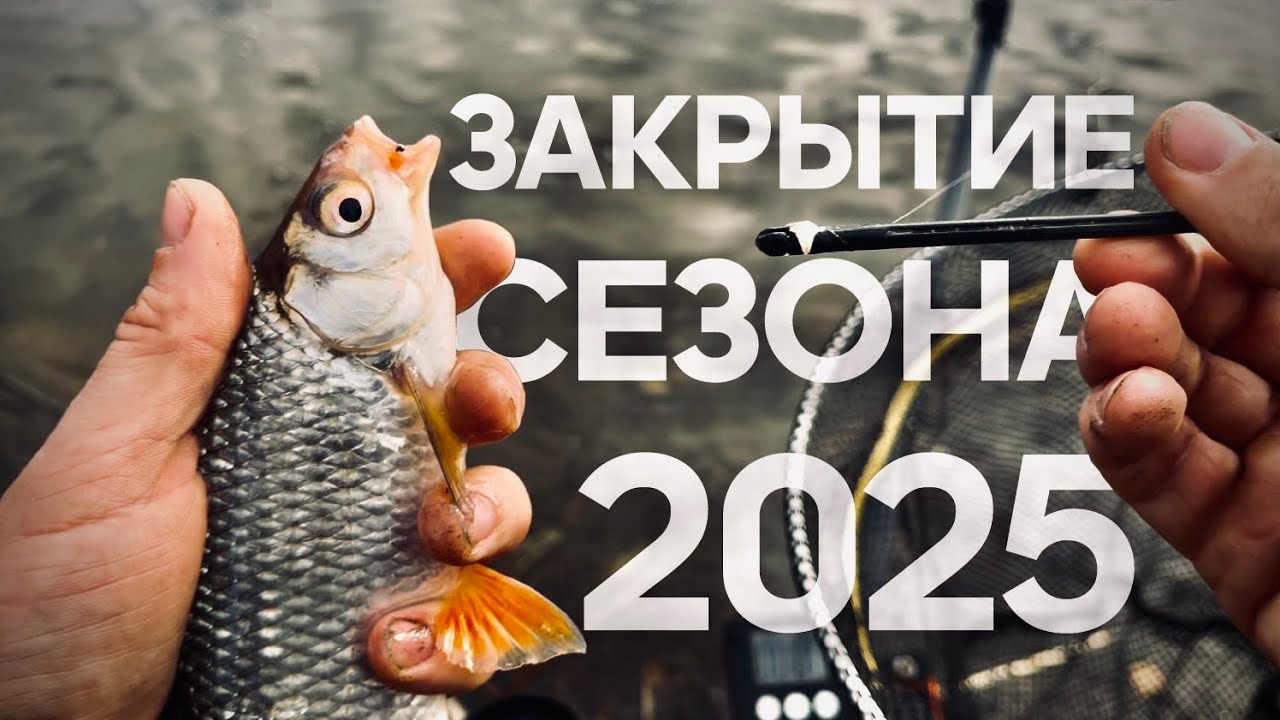 Закрываем сезон фидера! РЫБАЛКА. ОСЕНЬ. ПОКЛЕВКА.
