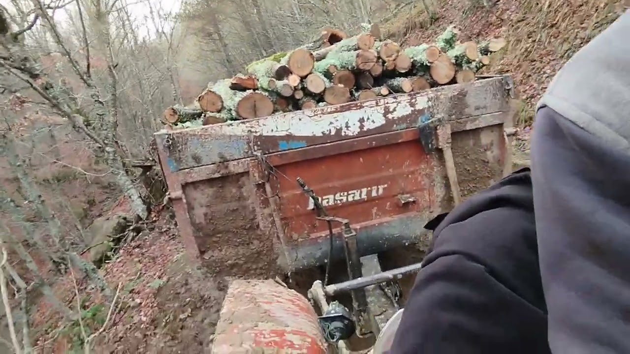 Dağdan odun getiriyoruz 