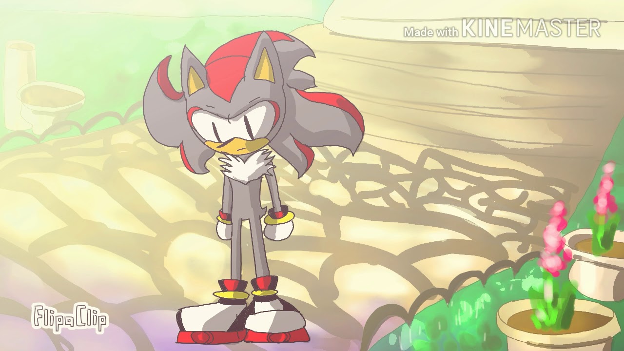 Shadow feel love (Shadamy animation)