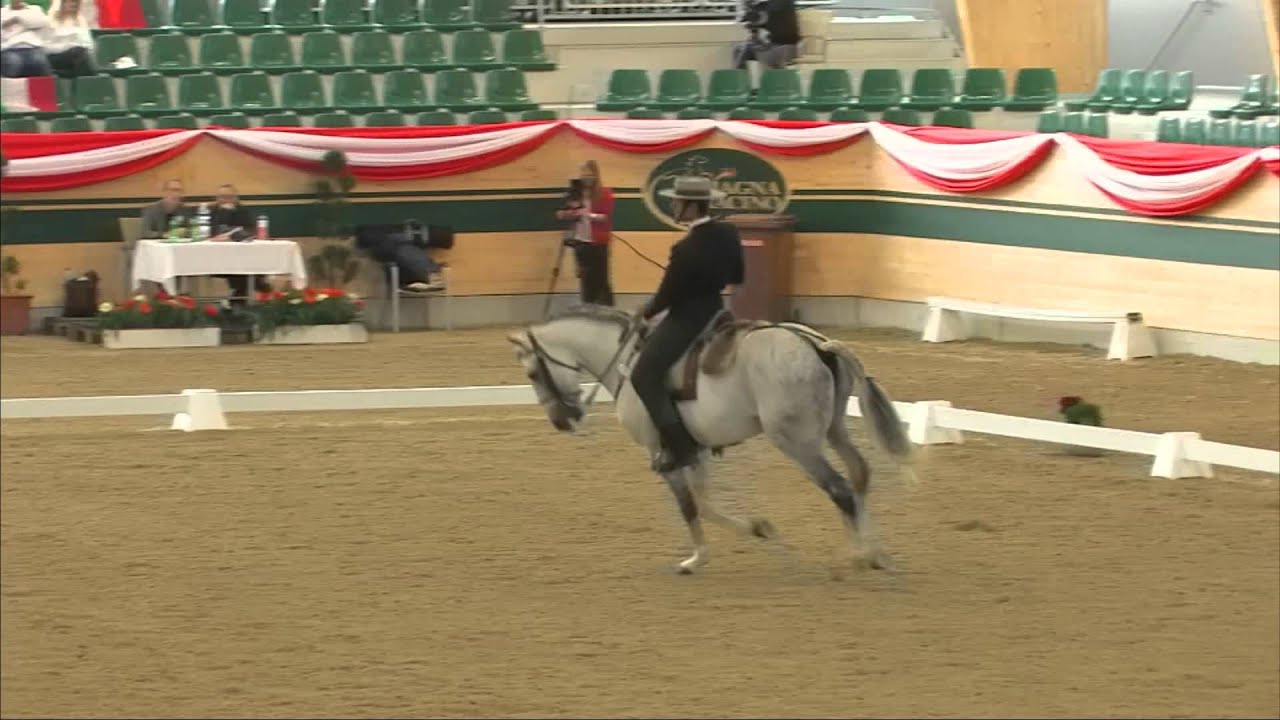 FAVORITENSIEG BEI DER WORKING EQUITATION WM IM MAGNA RACINO