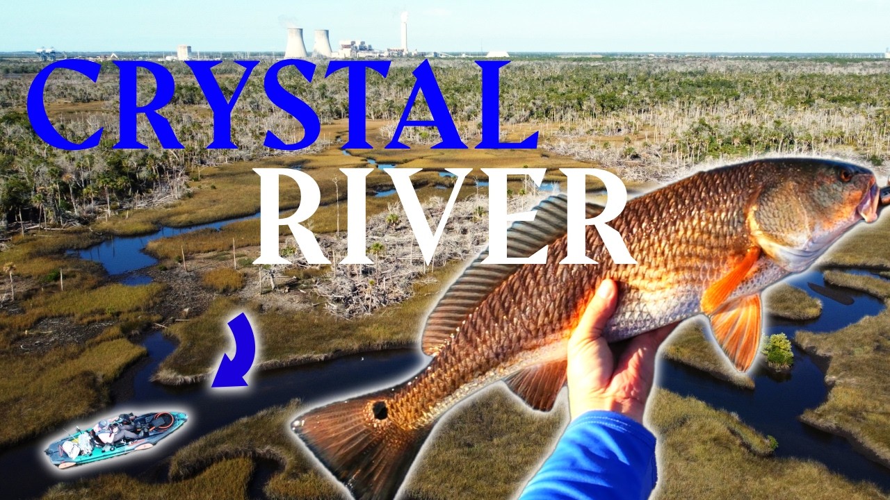 Cold Front Creek Fishing in Crystal River Went OFF! Redfish, Snook & Trout Slam
