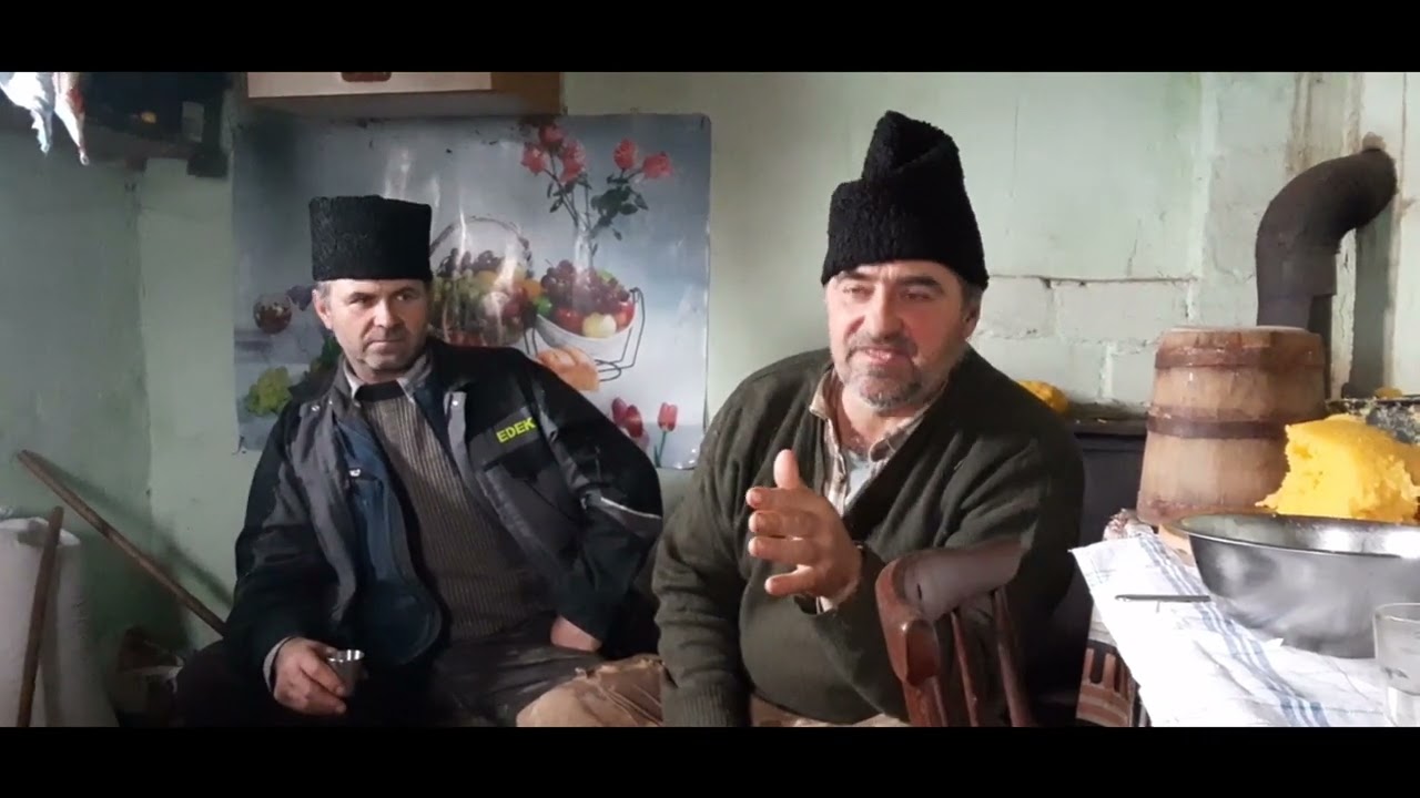 VOIEVOZII  *CIONTEA