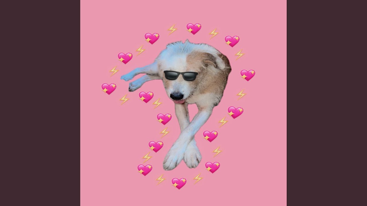Perros Pegaos