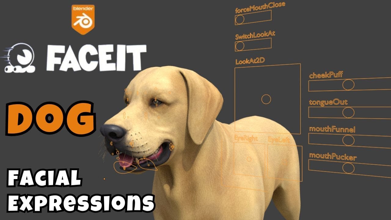 Blender FACEIT Tutorial : Dog Face Rig with FACEIT | Facial Expressions