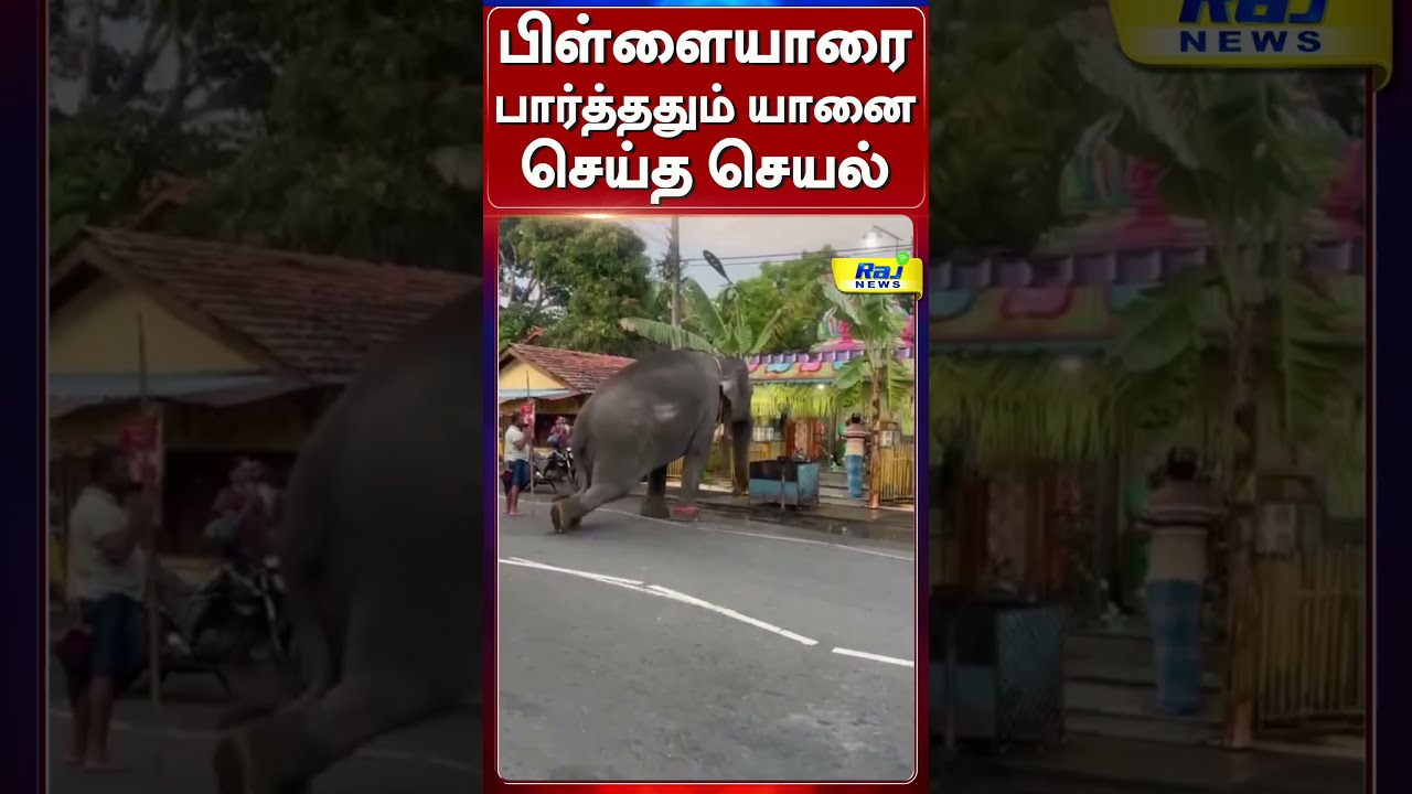 பிள்ளையாரை பார்த்ததும் யானை செய்த செயல் #Elephant #Vinayagar