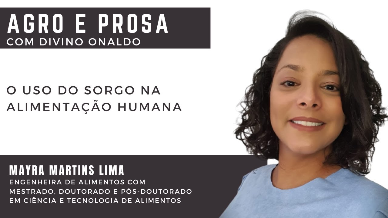 O uso do sorgo na alimentação humana
