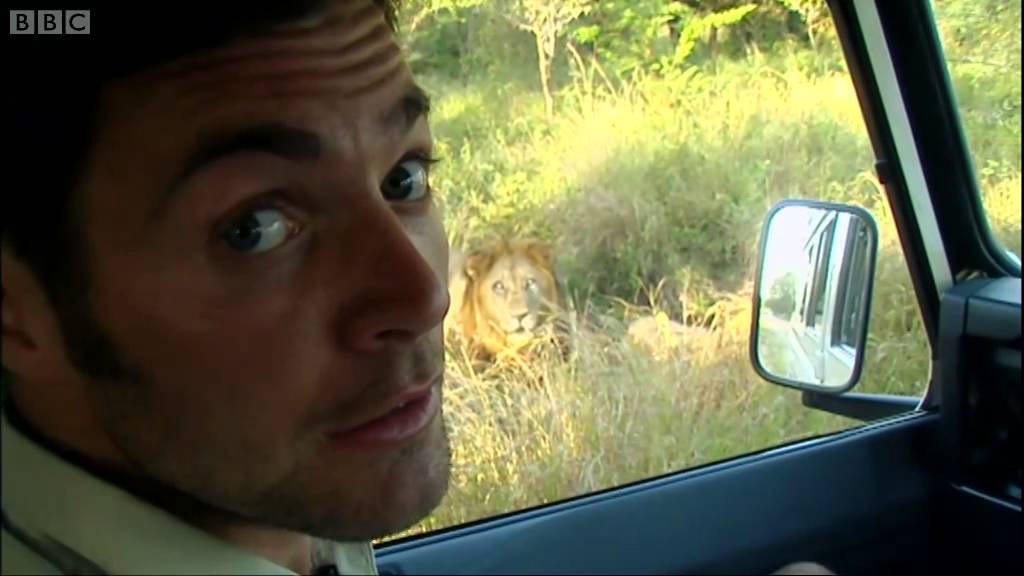Scary Man-Eating Lions | Ultimate Killers | BBC Earth