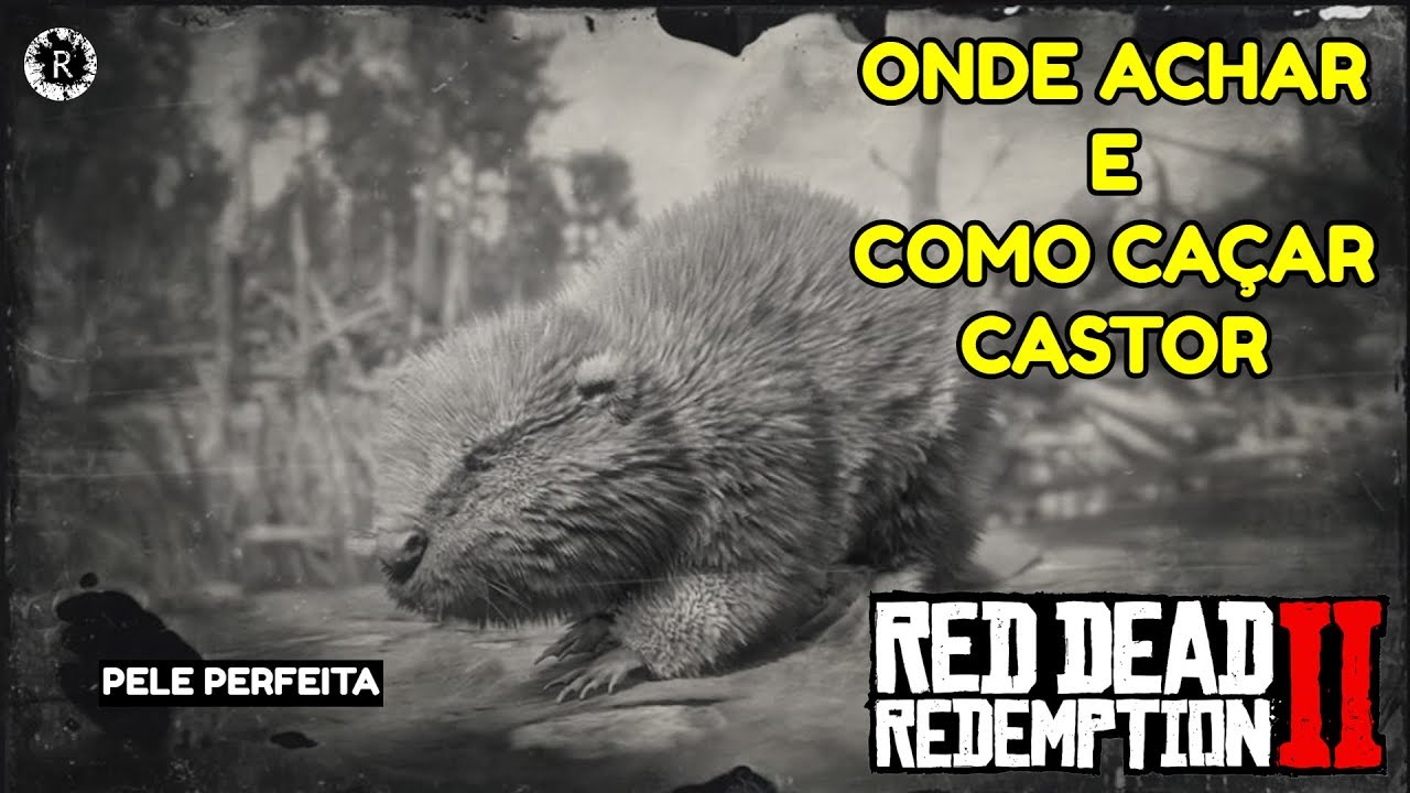 RED DEAD REDEMPTION 2 - COMO CA&Ccedil;AR CASTOR ( Dicas )